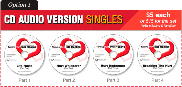 Hurt to Healing Pain into Promise Bundles